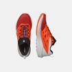 Picture of SALOMON - SENSE RIDE 5